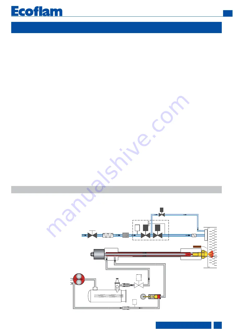 Ecoflam MULTIFLAM 300.1 PR Скачать руководство пользователя страница 11