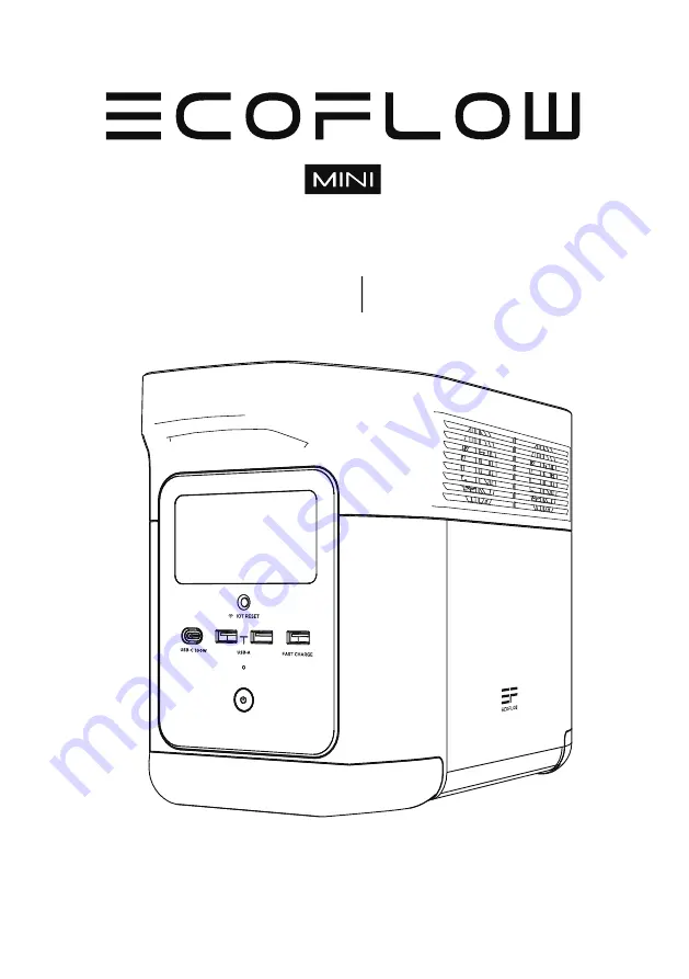 EcoFlow DELTA mini Скачать руководство пользователя страница 19