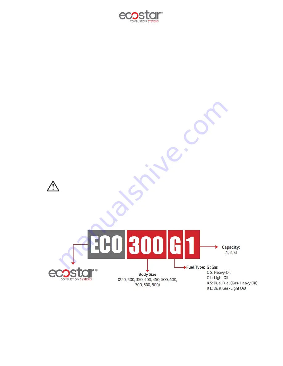 ECOSTAR ECO 300 Installation, Operating And Maintenance Manual Download Page 8