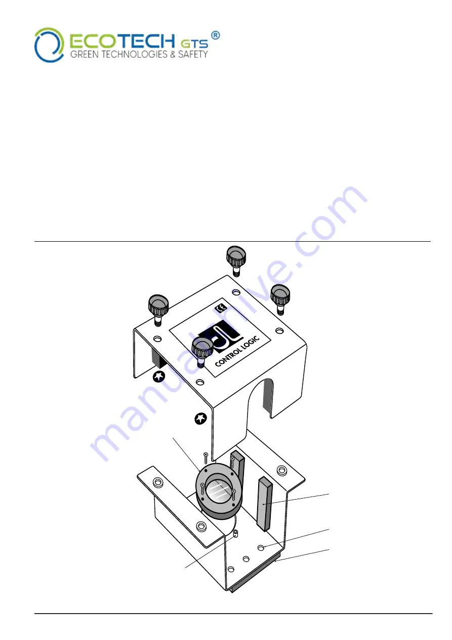 Ecotech GTS Control Logic RIV-601P/S Скачать руководство пользователя страница 12