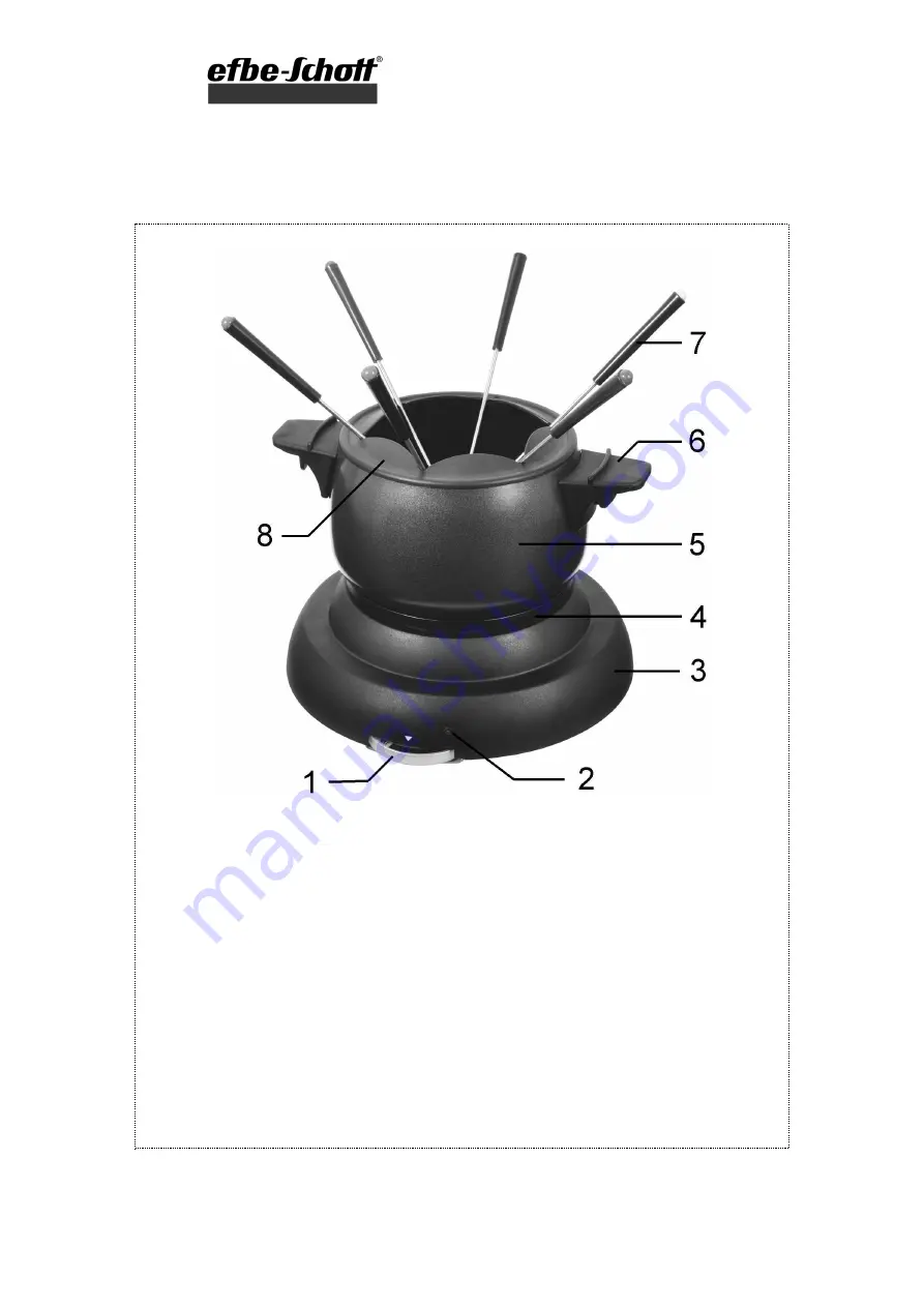 EFBE-SCHOTT FO 900 Manual Download Page 2