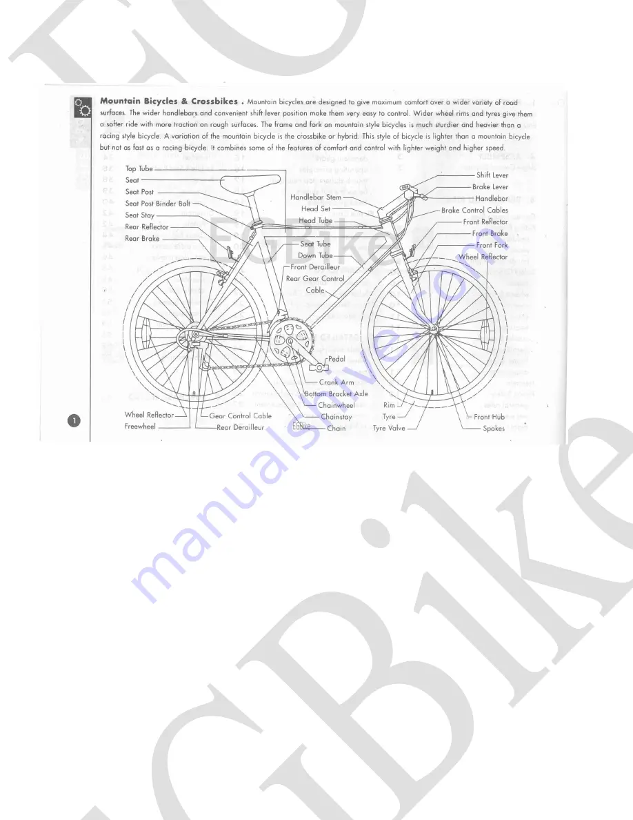 EG Oahu 500FX Owner'S Manual Download Page 2