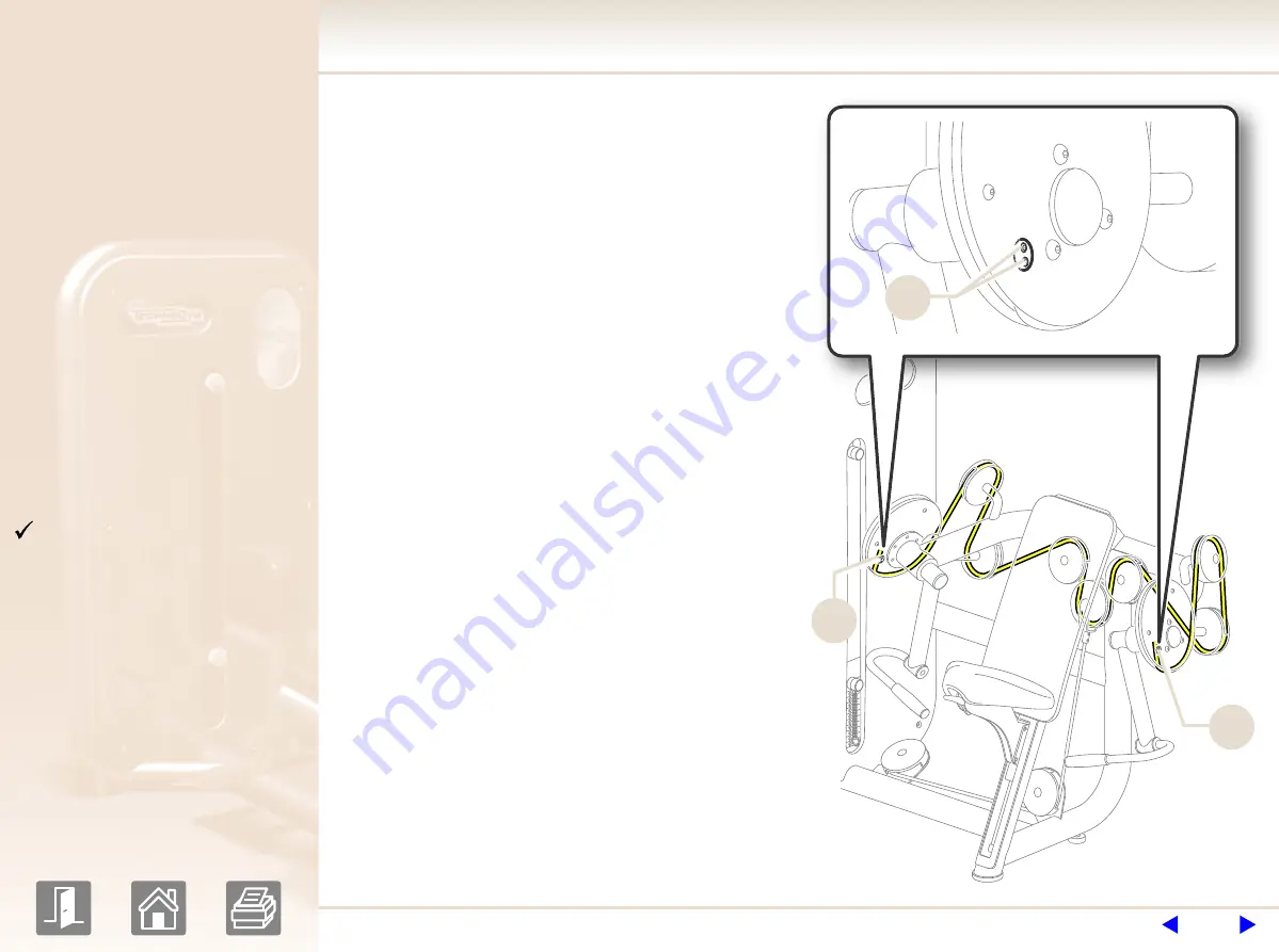 Element arm curl User Manual Download Page 22