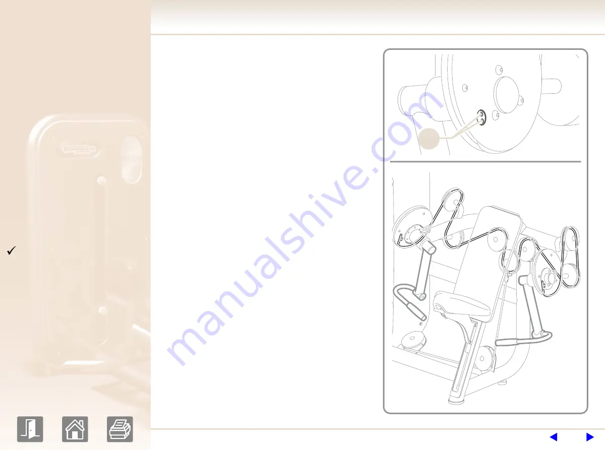 Element arm curl User Manual Download Page 23