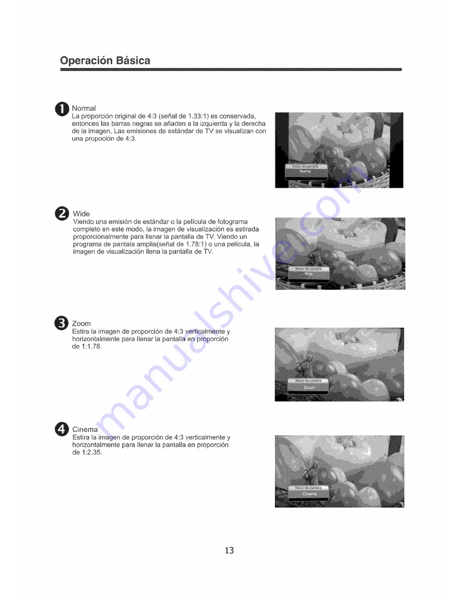 Element ELCHS372 User Manual Download Page 37