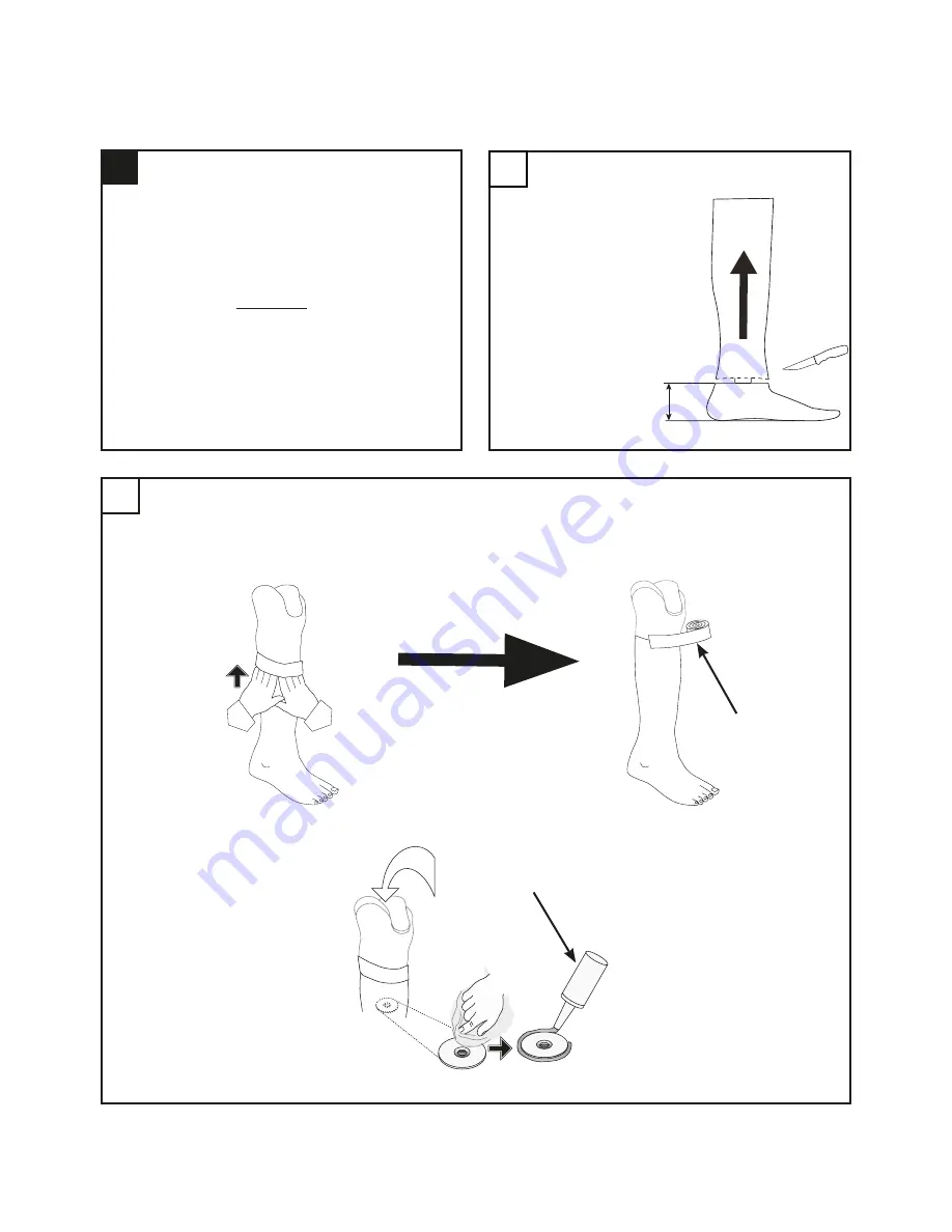 endolite AqualimbTT Instructions For Use Manual Download Page 7