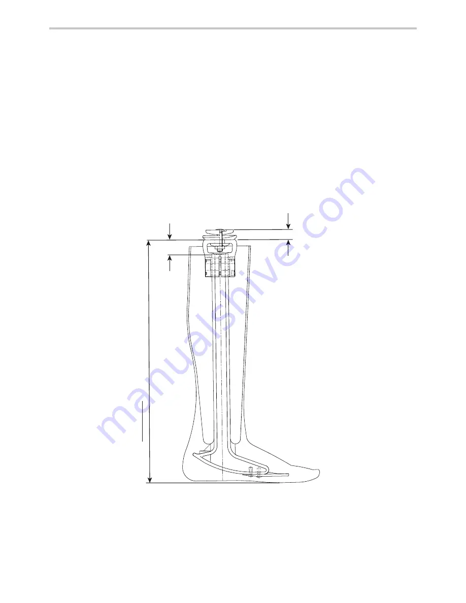 endolite AqualimbTT Instructions For Use Manual Download Page 16