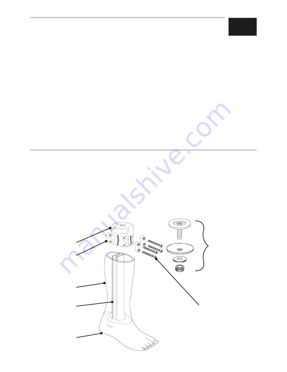 endolite AqualimbTT Instructions For Use Manual Download Page 19