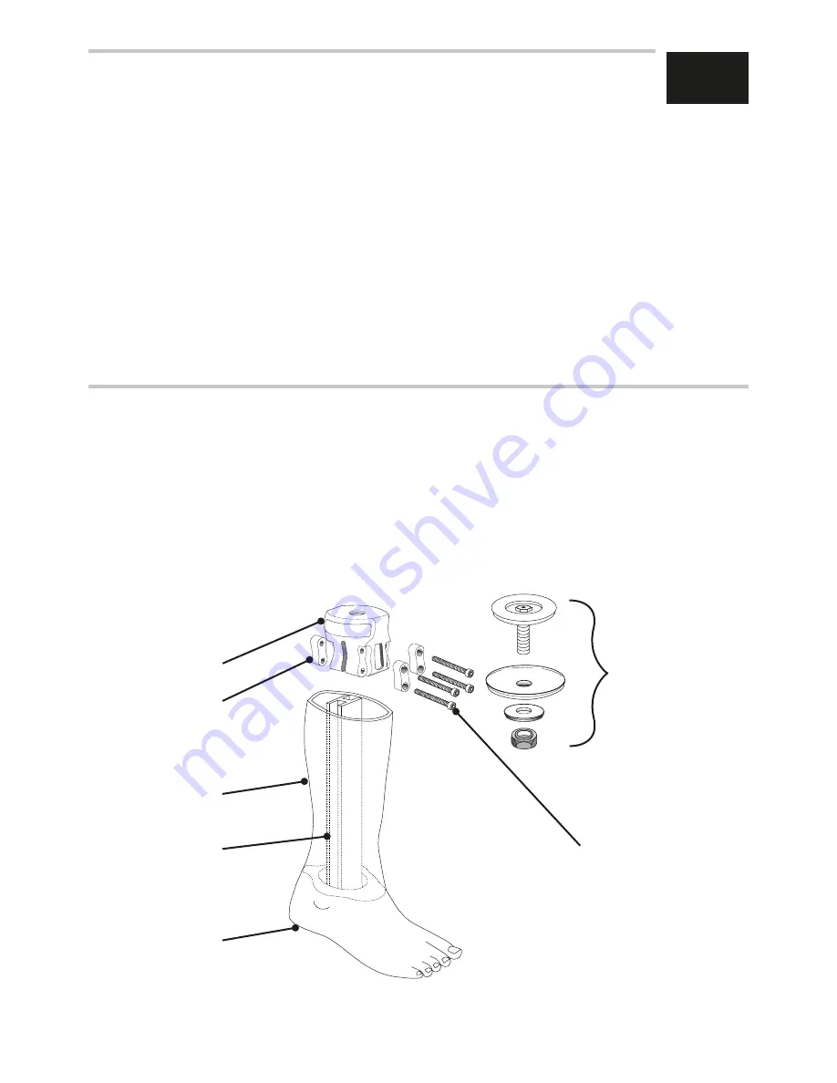 endolite AqualimbTT Instructions For Use Manual Download Page 59