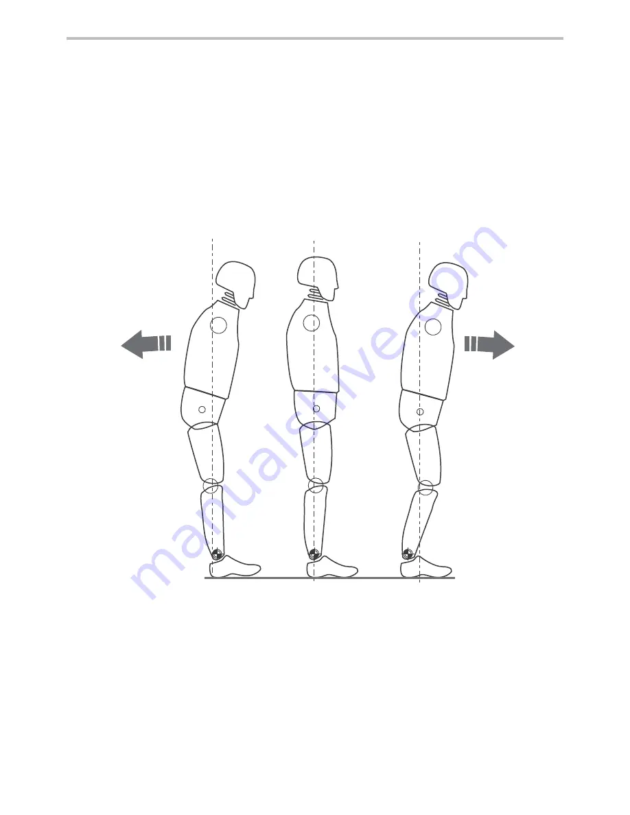 endolite AvalonK2 Instructions For Use Manual Download Page 6