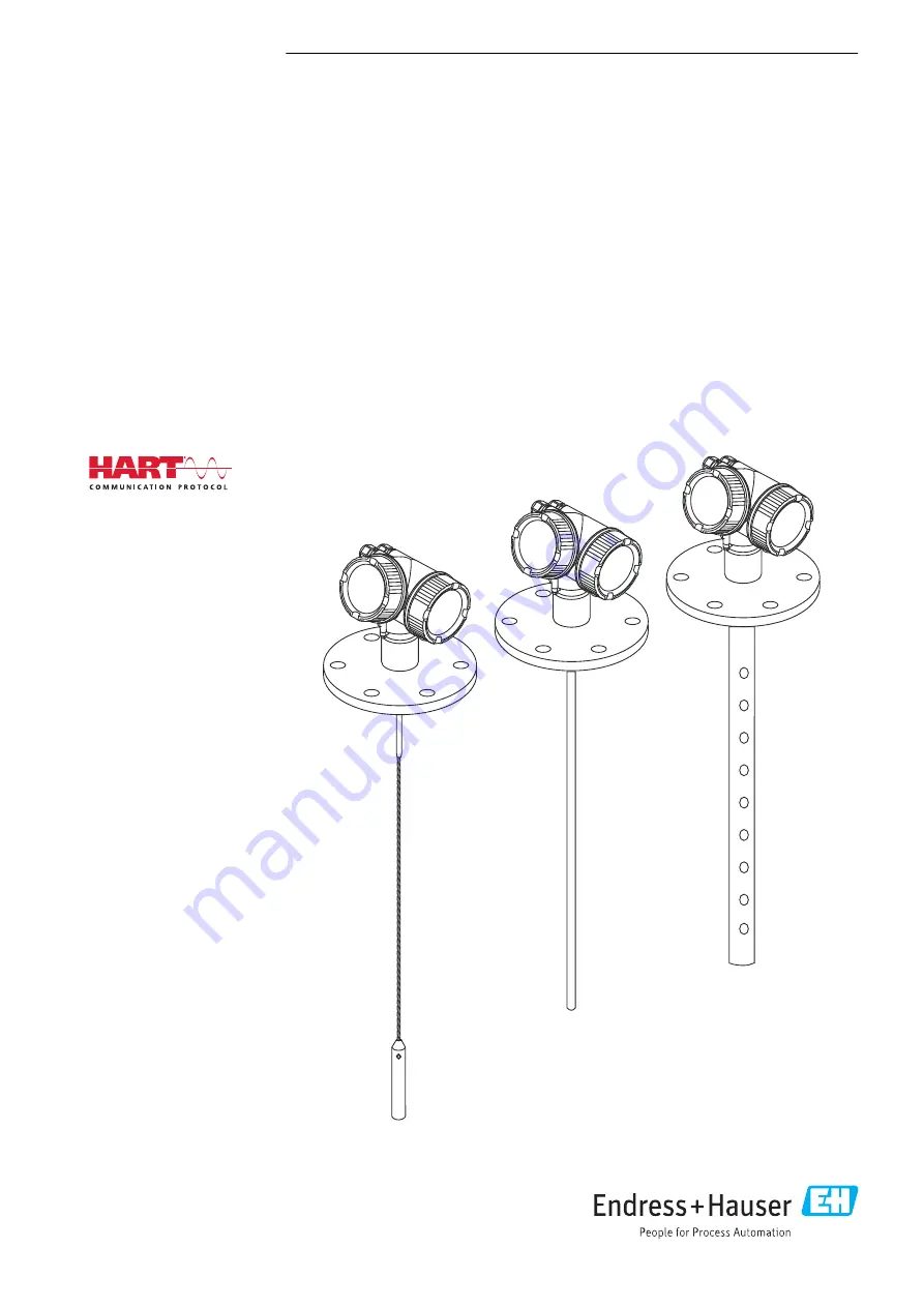 Endress+Hauser Levelflex FMP52 Скачать руководство пользователя страница 1