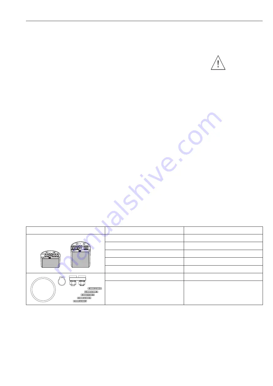 Endress+Hauser soliphant II FTM 30 DR Operating Instructions Manual Download Page 29