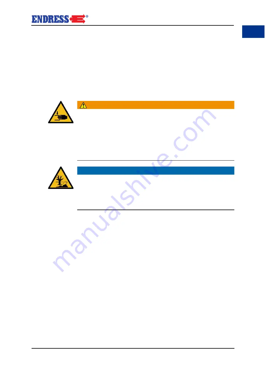 Endress ESE Series Translation Of The Operating Instructions Download Page 91