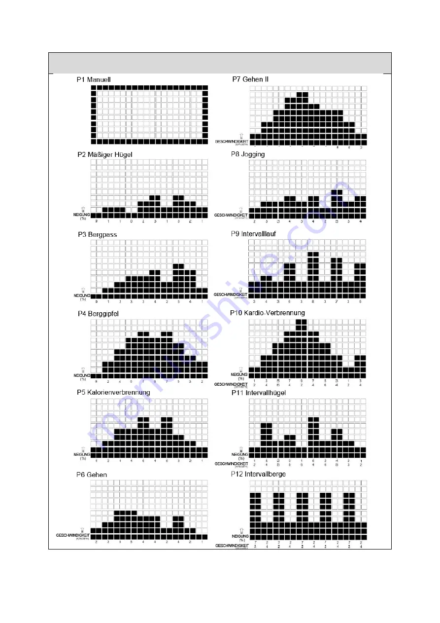 Energetics POWER RUN 2010HRC Manual Download Page 53