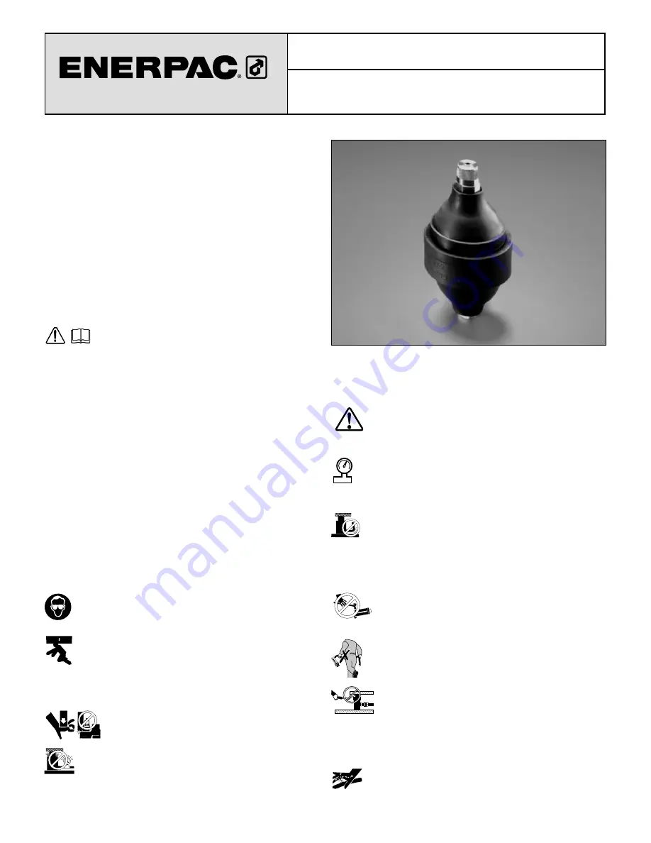 Enerpac ACL Series Instruction Sheet Download Page 31