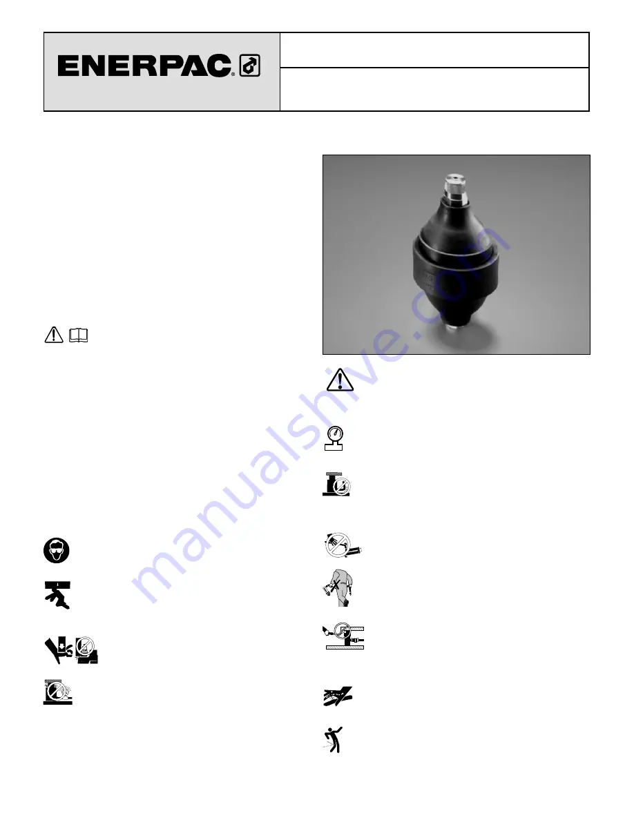 Enerpac ACL Series Instruction Sheet Download Page 51