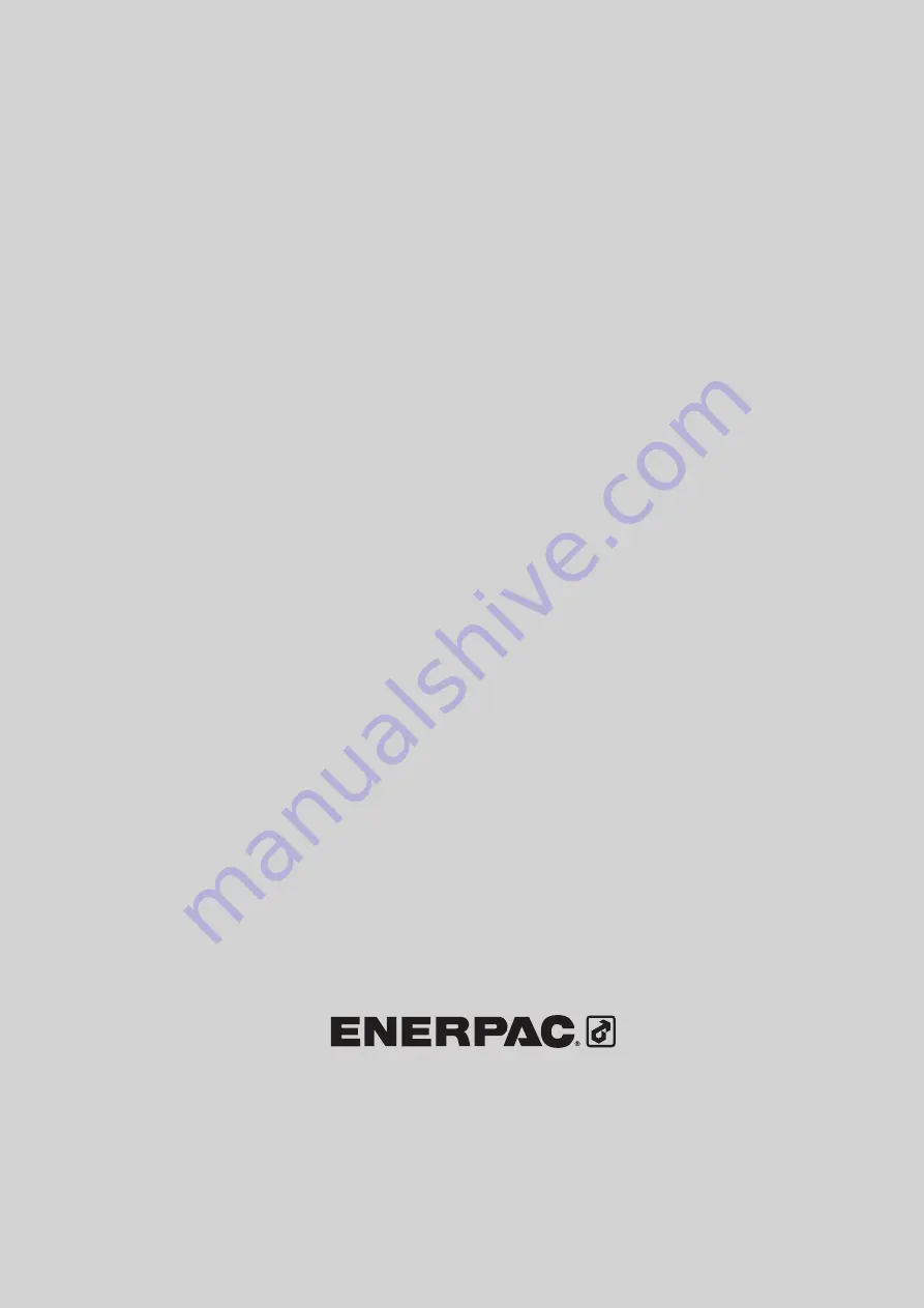 Enerpac D3001A0115AA Instruction Sheet Download Page 12