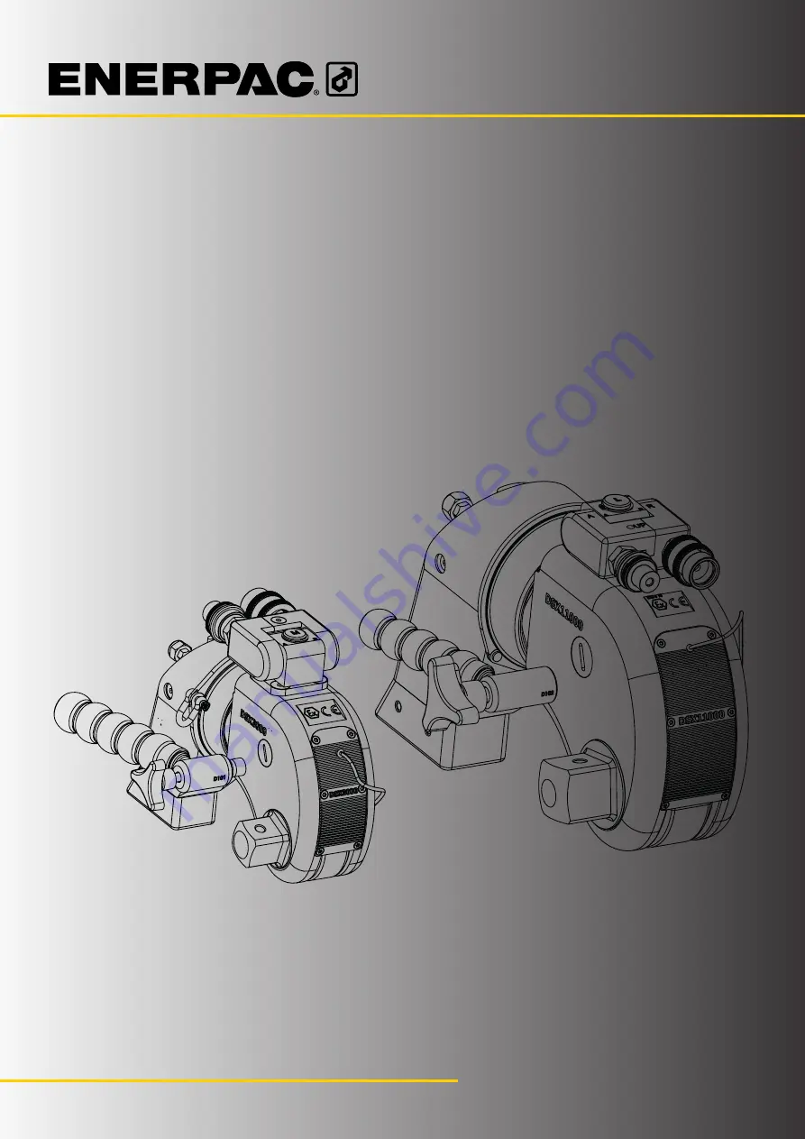 Enerpac DSX11000 Скачать руководство пользователя страница 1