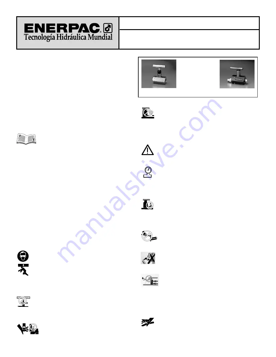 Enerpac V-182 Instruction Sheet Download Page 13