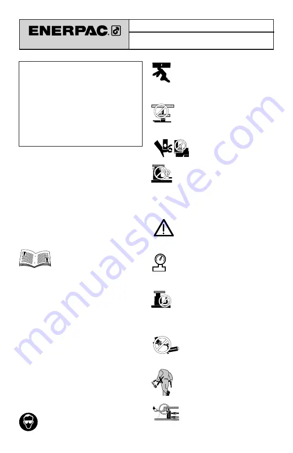 Enerpac VM43-LPS Instruction Sheet Download Page 1