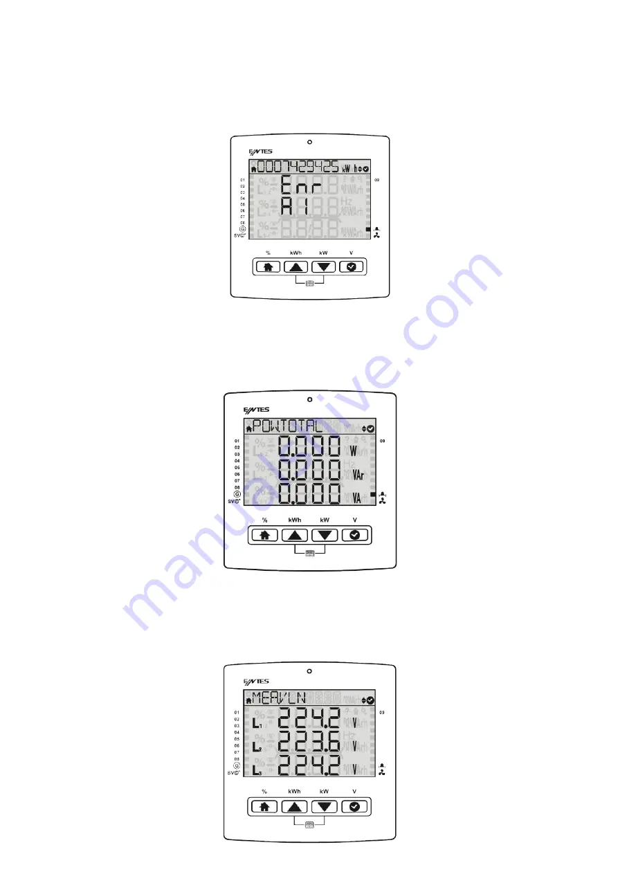 Entes RGP Series User Manual Download Page 12