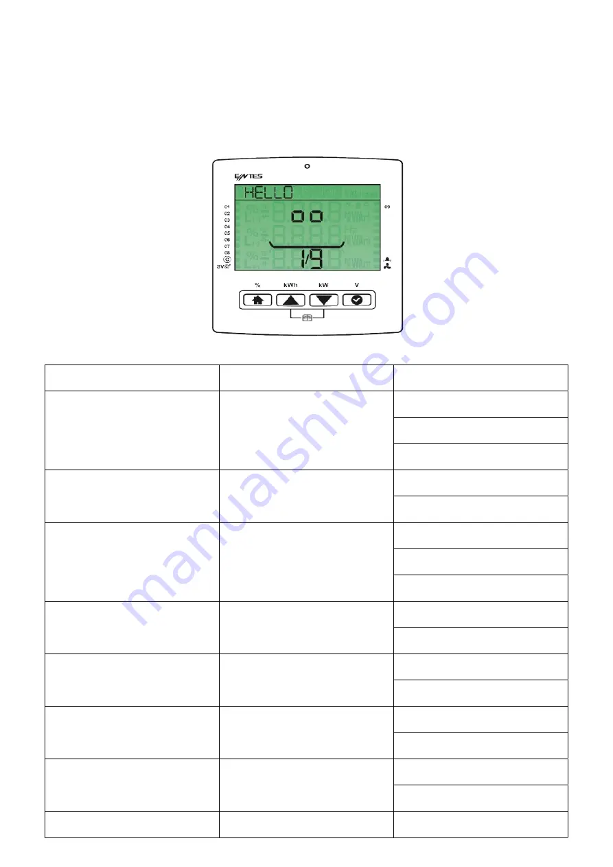 Entes RGP Series User Manual Download Page 13