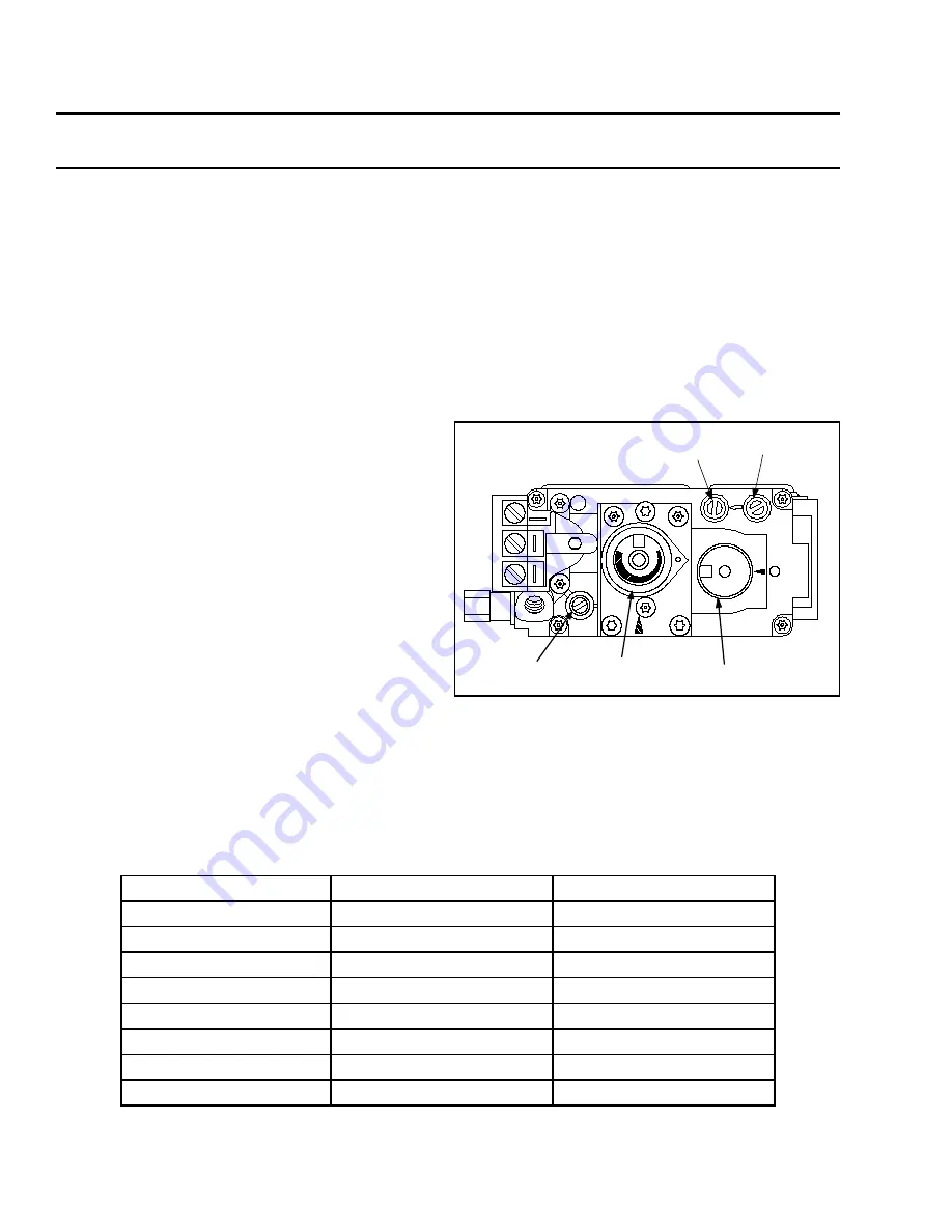 Enviro EG40 DV NG Owner'S Manual Download Page 28