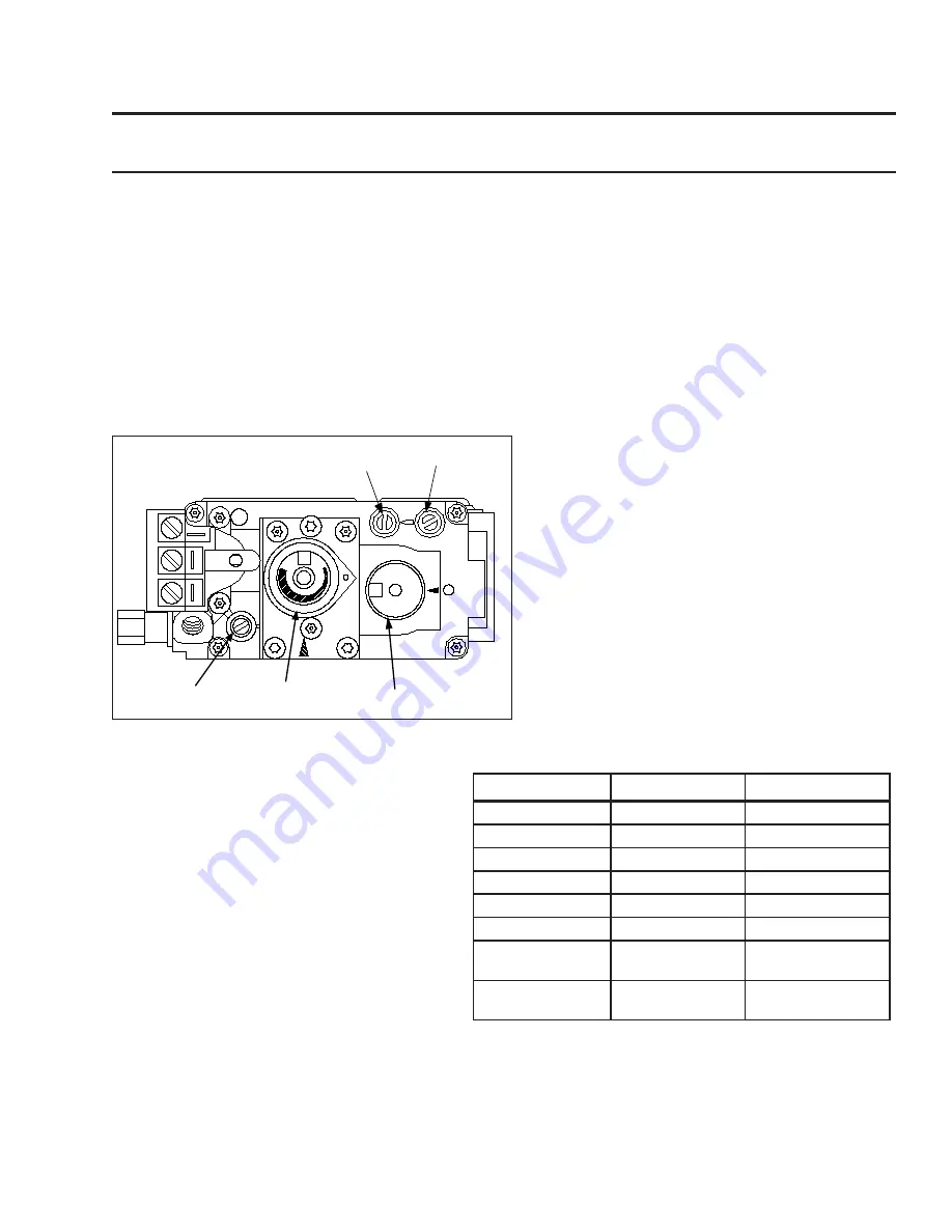 Enviro Sienna Indoor Gas Fireplace Owner'S Manual Download Page 19