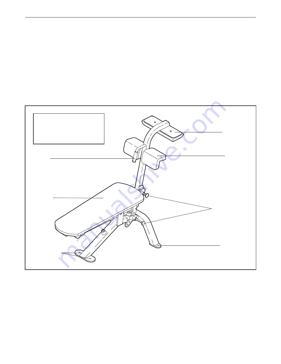 Epic STRENGTH GZFW21310 Owner'S Manual Download Page 4