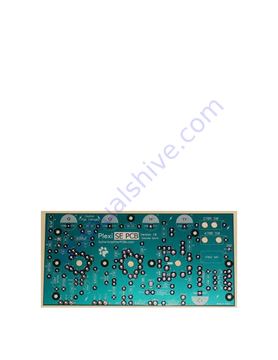 Epiphone Plexi SE PCB Build Manual Download Page 2