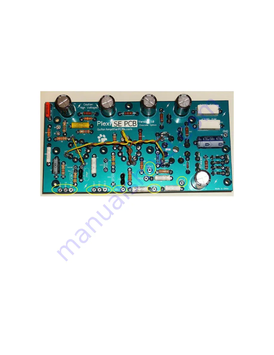 Epiphone Plexi SE PCB Build Manual Download Page 25