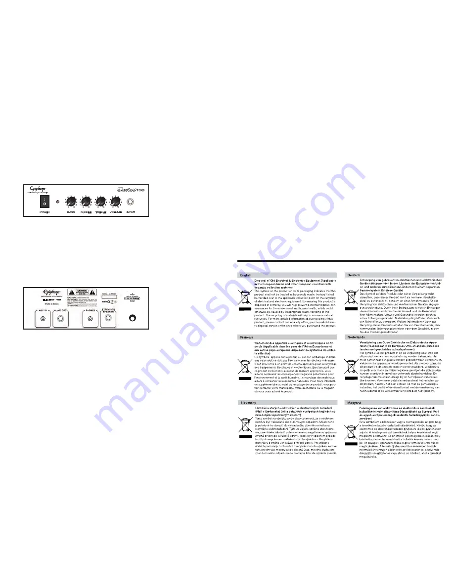 Epiphone Tobias Owner'S Manual Download Page 4