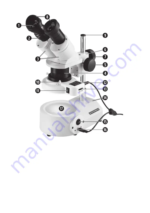 Eschenbach 33208 Скачать руководство пользователя страница 6