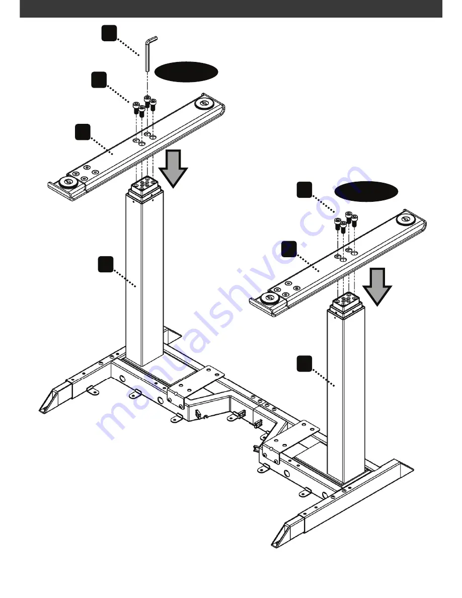 ESI FLEXRISE2 Instruction Manual Download Page 10