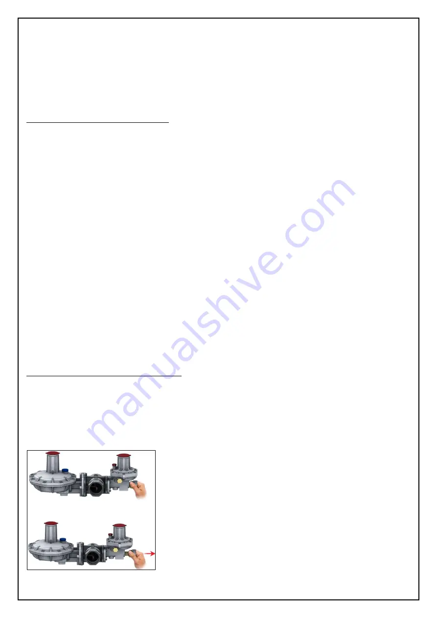 ESKA ERG-H5 Installation Use And Care Manual Download Page 10