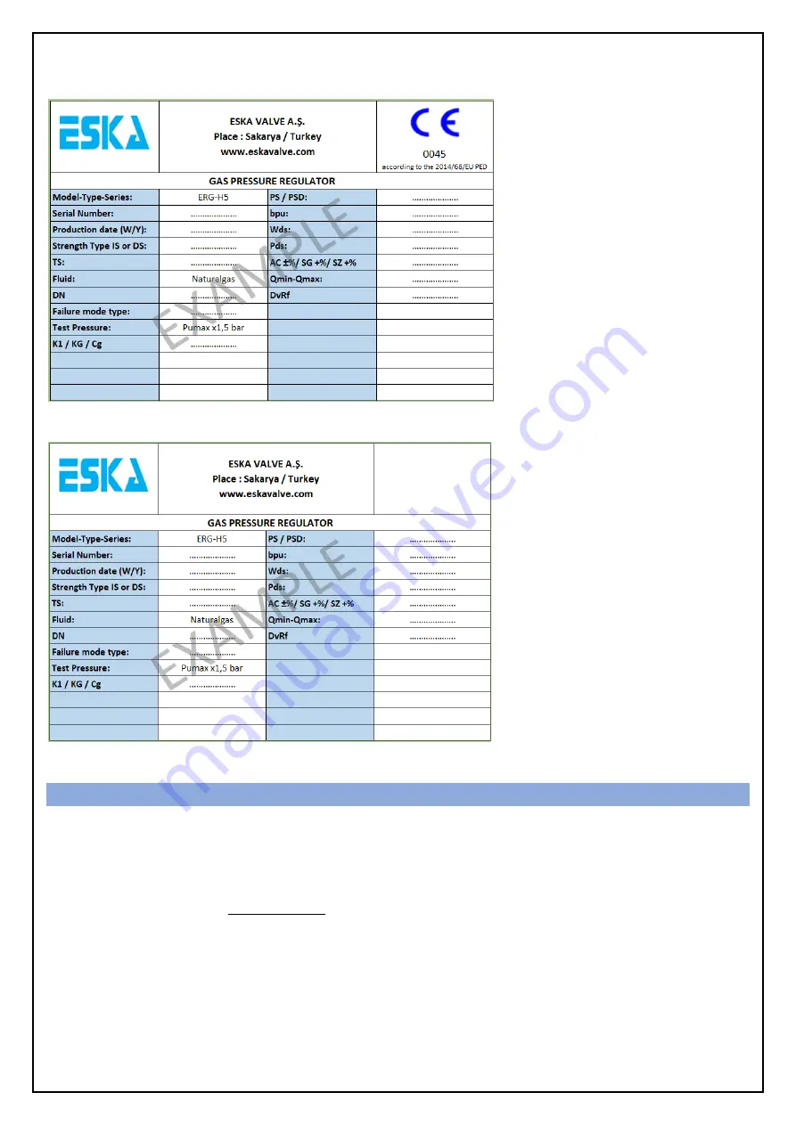 ESKA ERG-H5 Installation Use And Care Manual Download Page 24