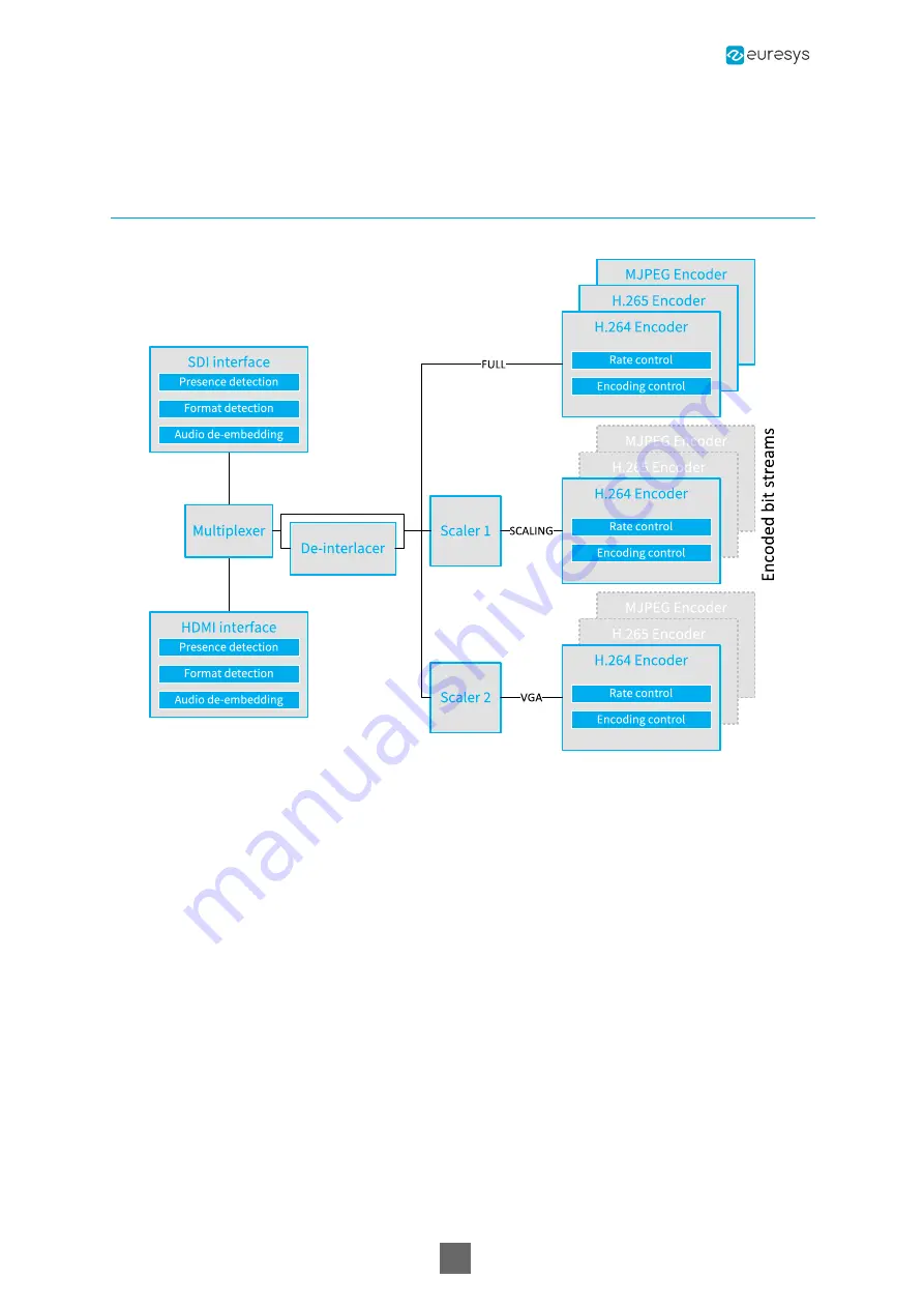 Euresys Picolo.net HD1 Скачать руководство пользователя страница 9