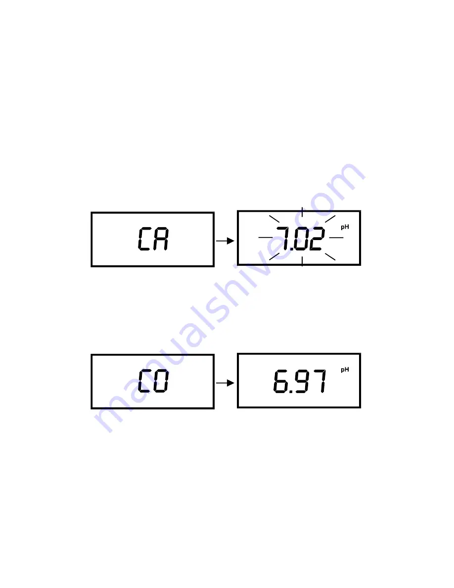 EUTECH INSTRUMENTS ECOSCAN ION 6 IONPHMV METER Скачать руководство пользователя страница 13