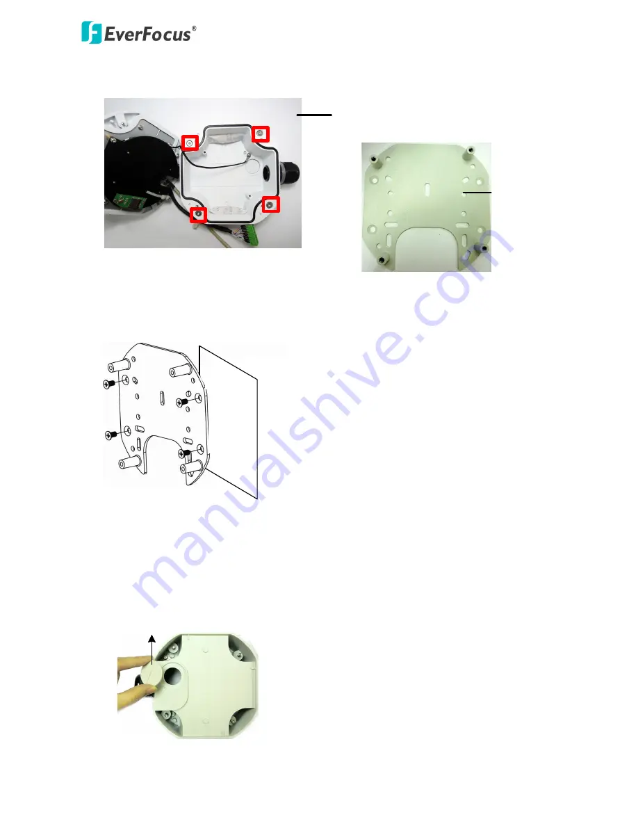 EverFocus EFN3321 Скачать руководство пользователя страница 13