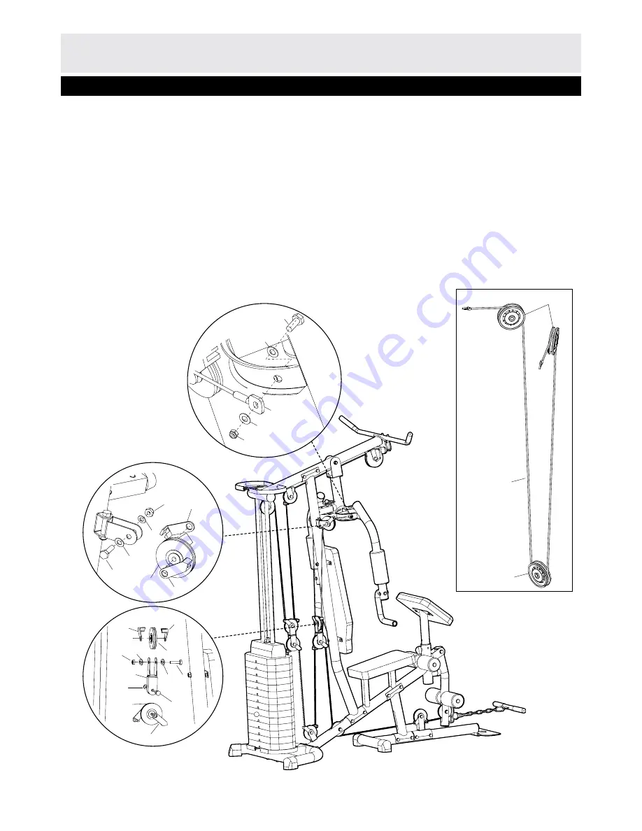 Everlast EV1000 Assembly & User Instructions Download Page 15