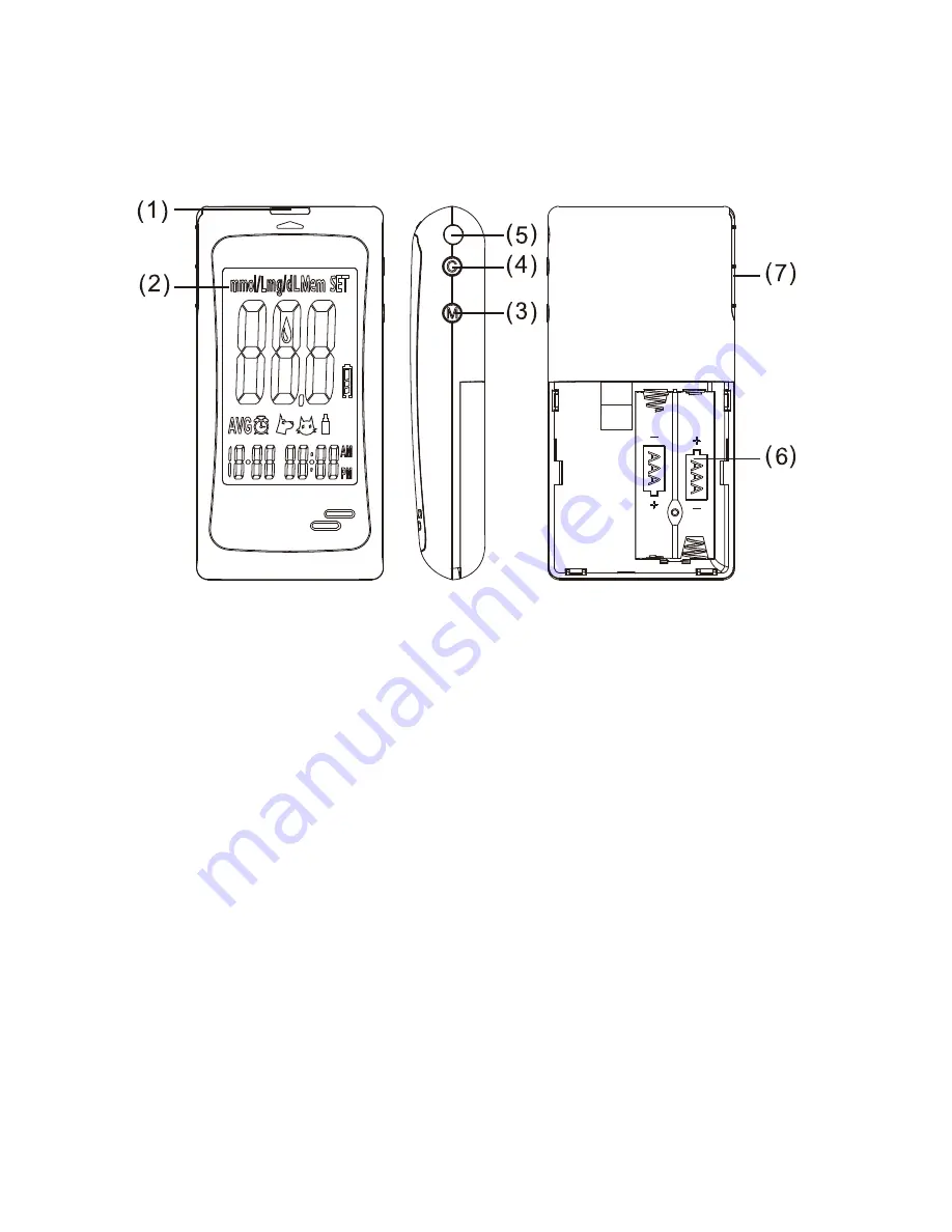 EverPaw 5228P Скачать руководство пользователя страница 6