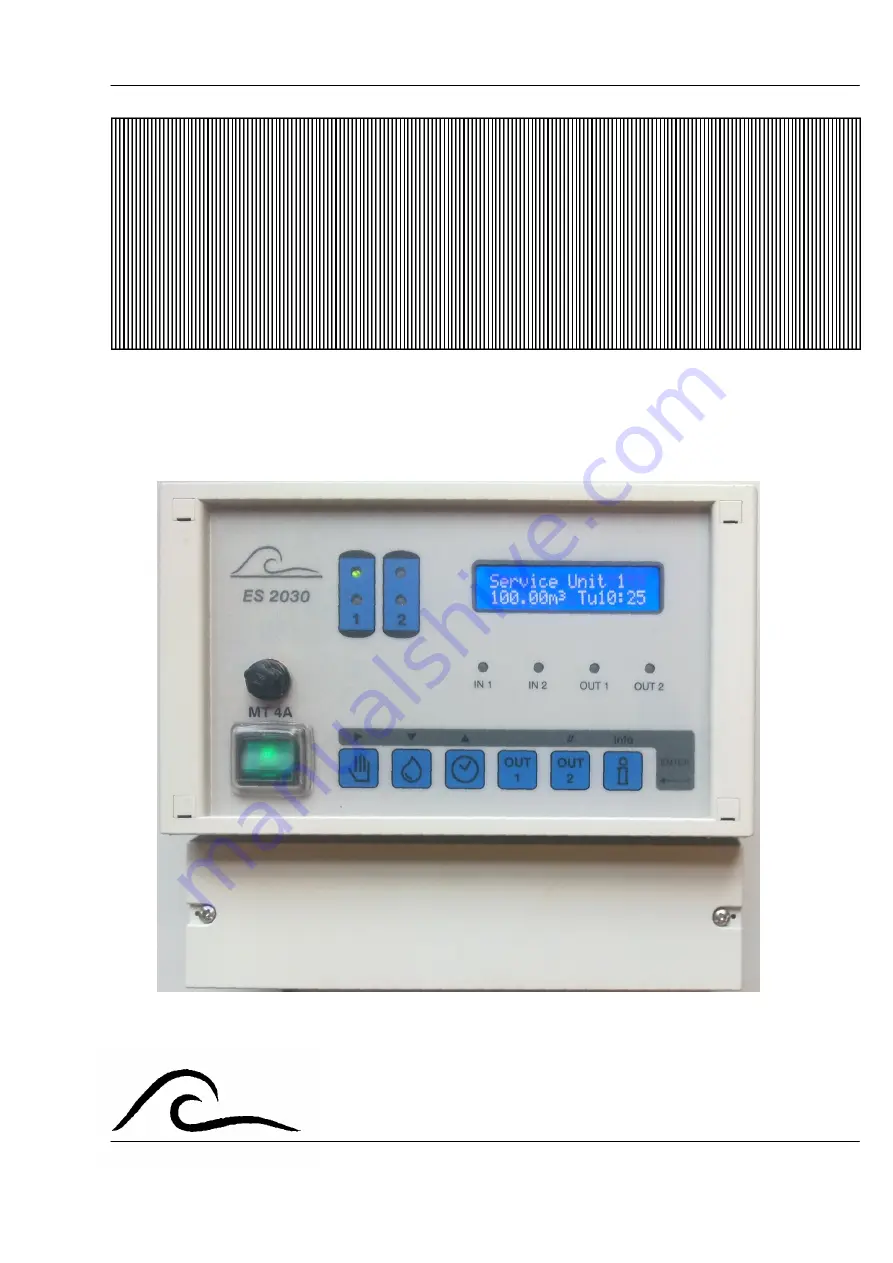 EWS ES2030 SV Manual Download Page 1