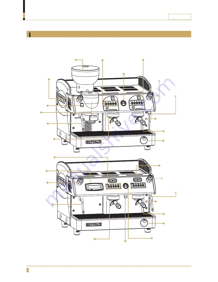 Expobar Markus 2GR User Manual Download Page 12