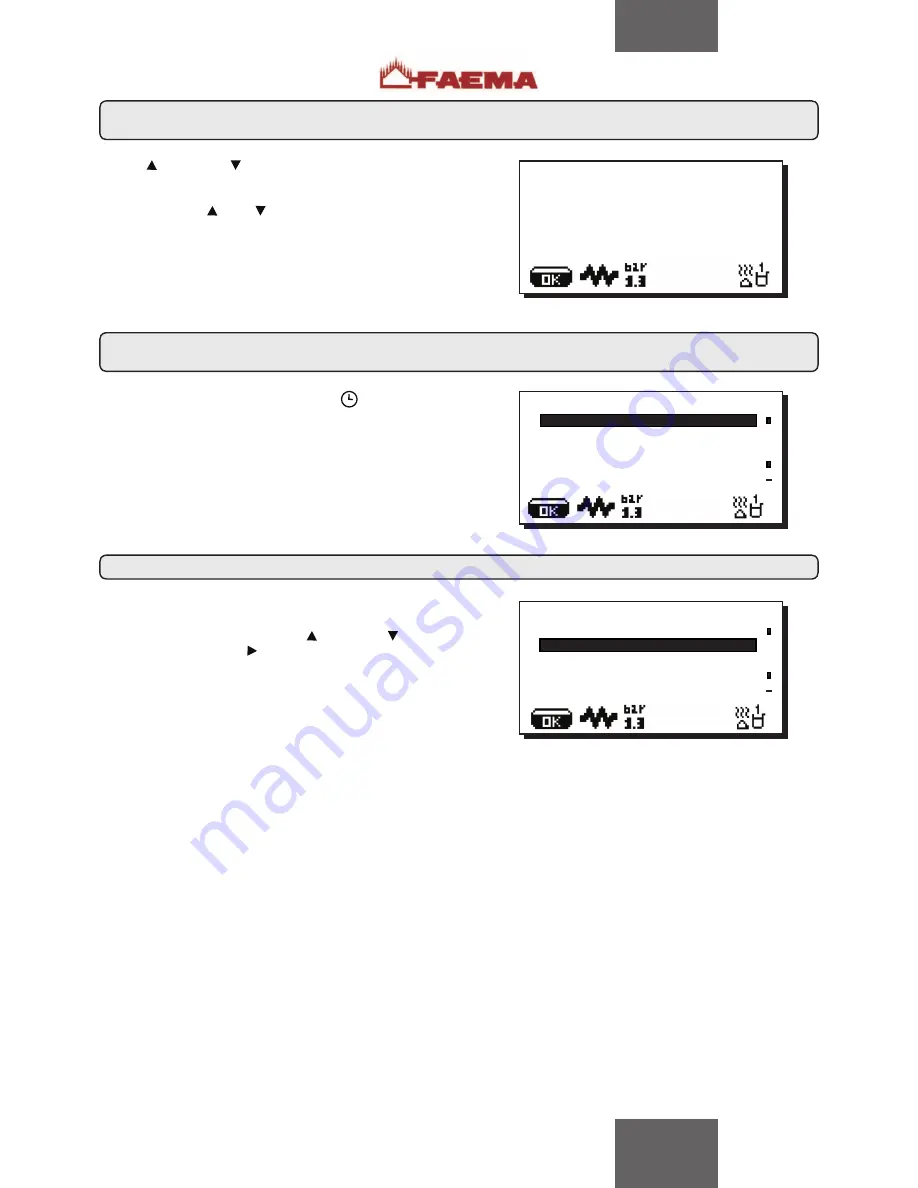 Faema Teorema Manual Download Page 22