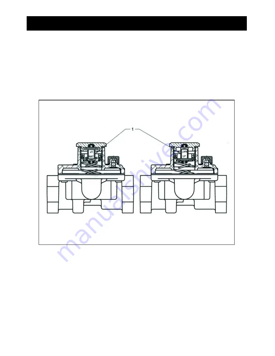 Fagor 2MFA2GLSX Care & Instruction Manual Download Page 17