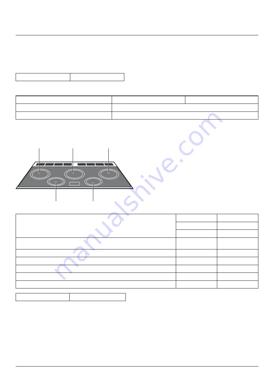 Falcon 90 toledo User Manual Download Page 58