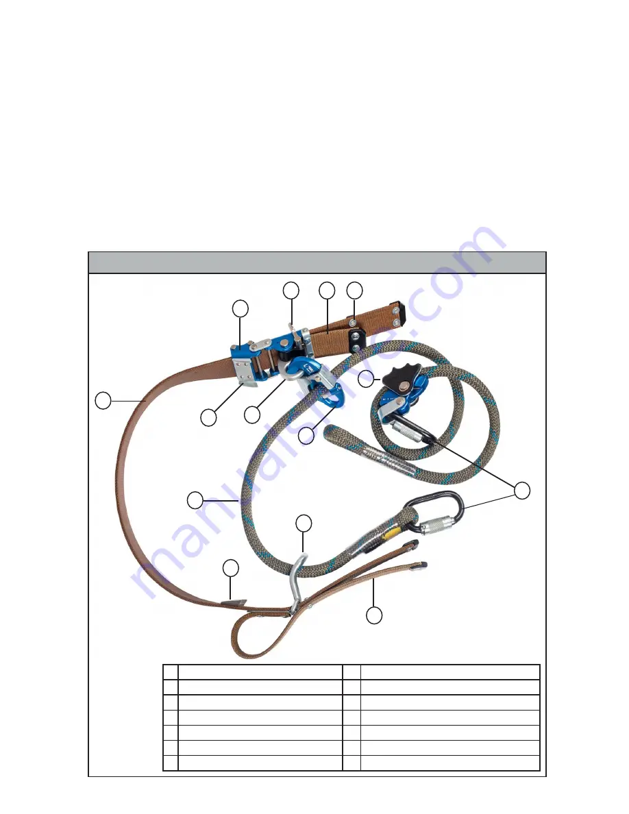 Falltech APEX Pro User Instruction Manual Download Page 38