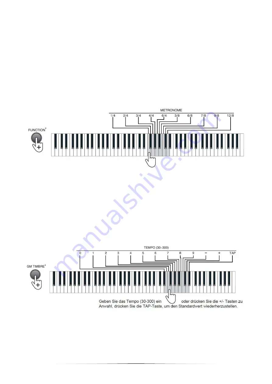 FAME DP-88 Скачать руководство пользователя страница 12