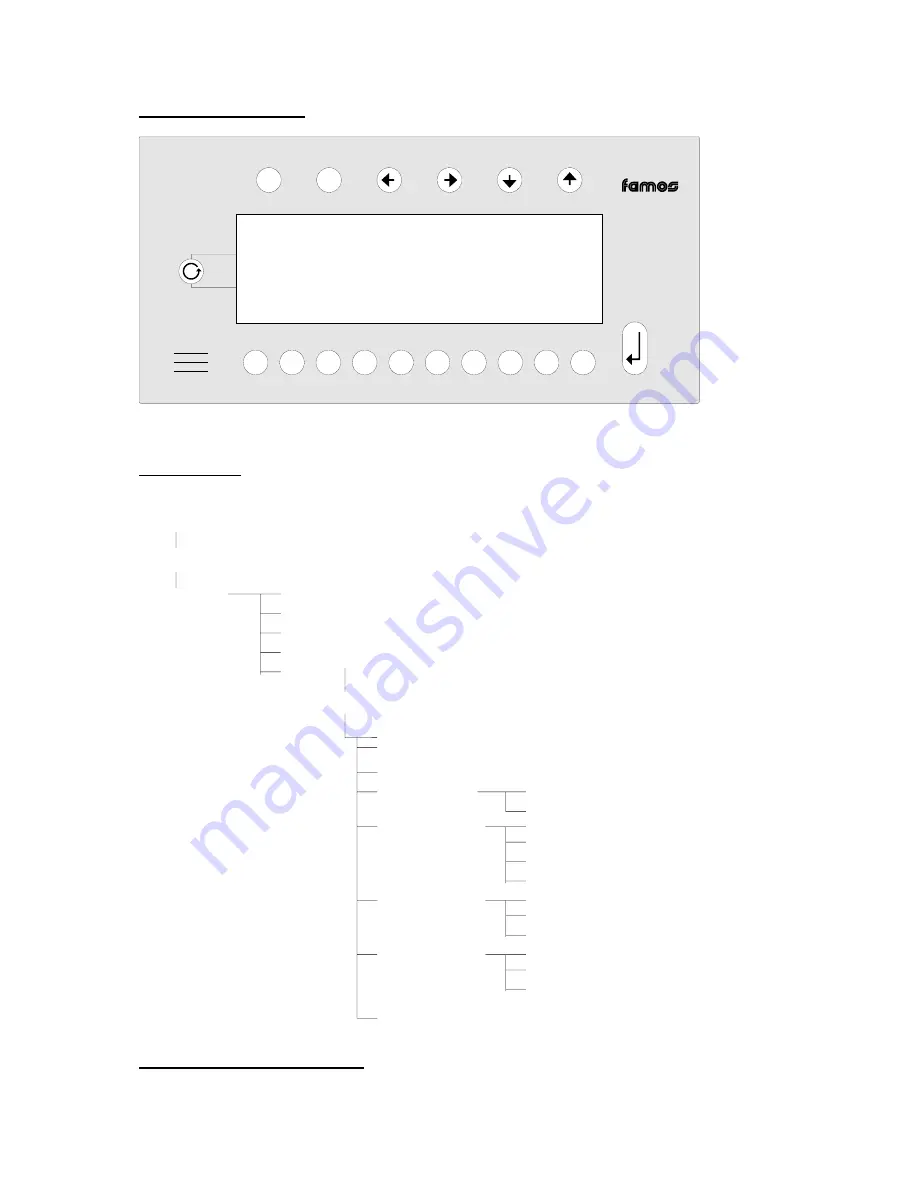 FAMOS F220DEP Manual Download Page 11