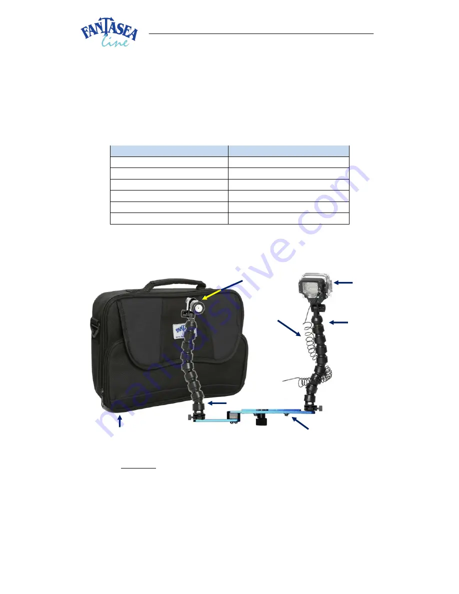 Fantasea Nano Ray Lighting Sets Instruction Manual Download Page 2